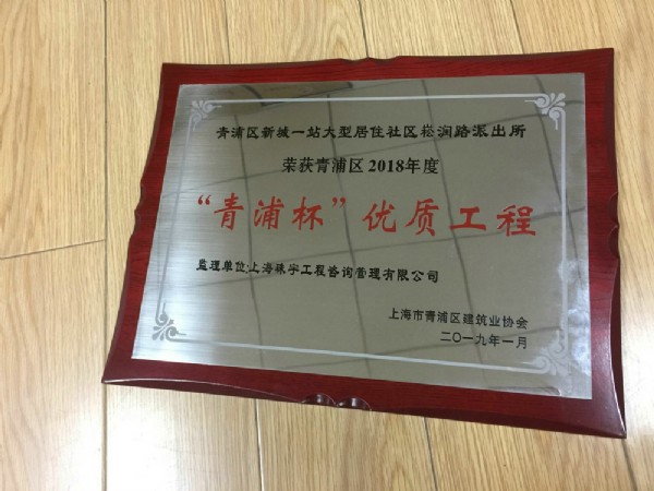 “青浦杯”优质工程3
